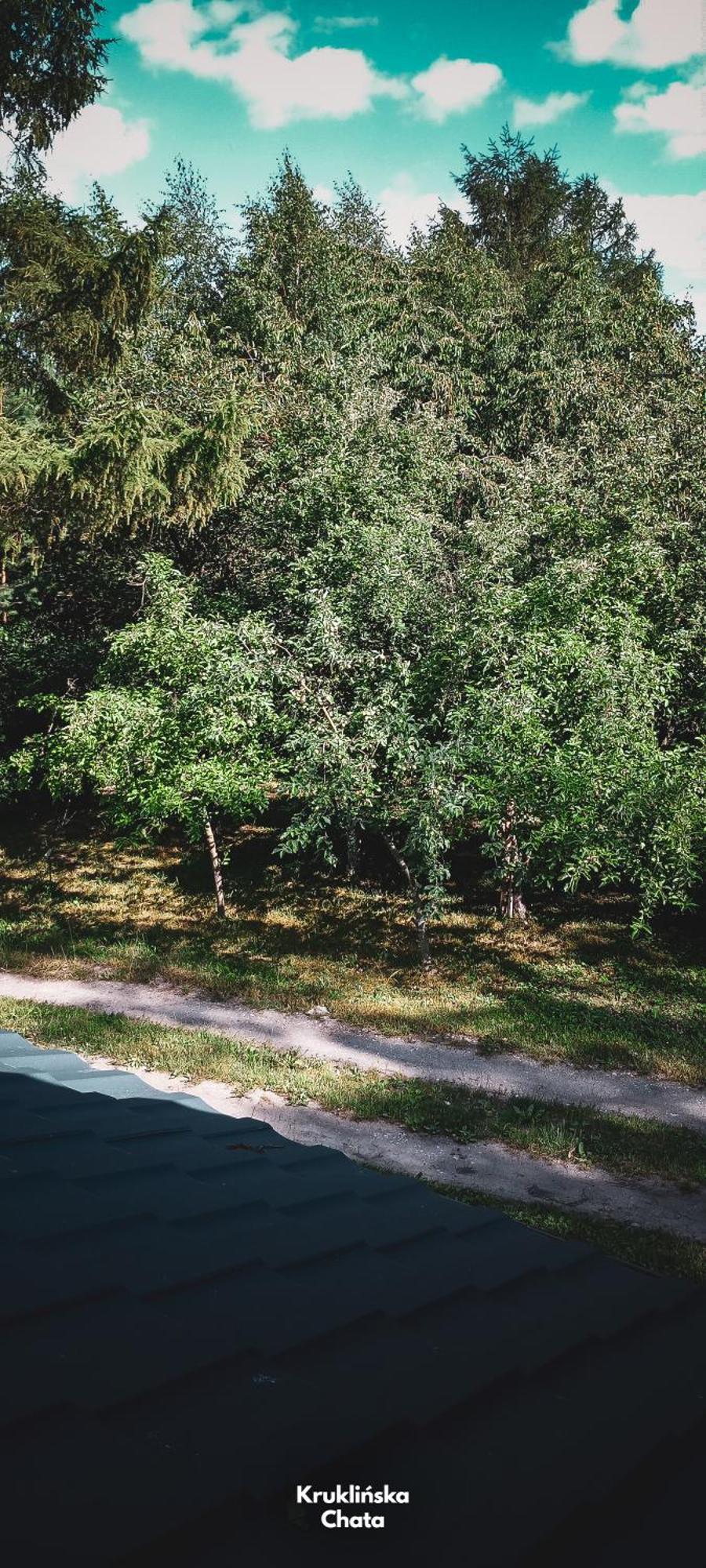 Kruklinska Chata - Domek Na Mazurach Dış mekan fotoğraf