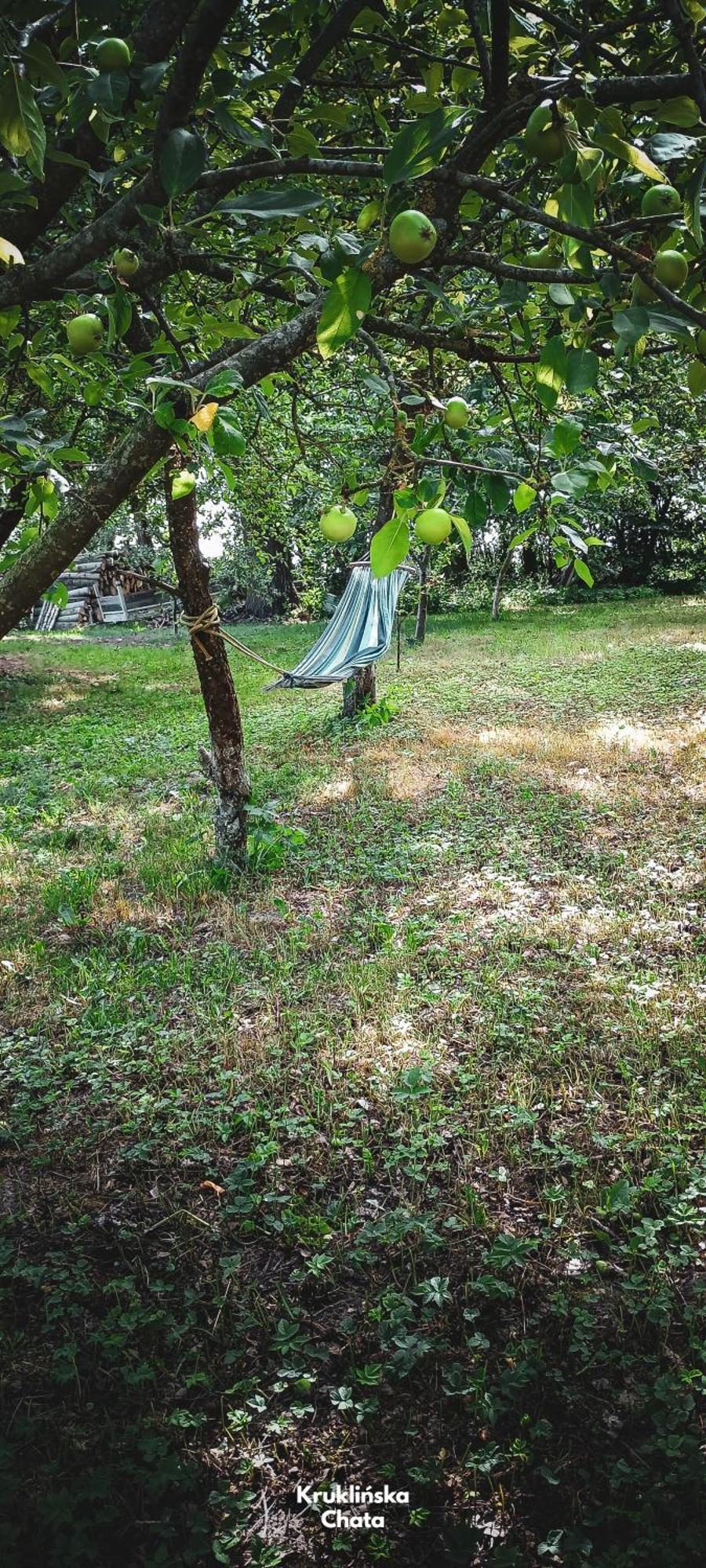 Kruklinska Chata - Domek Na Mazurach Dış mekan fotoğraf