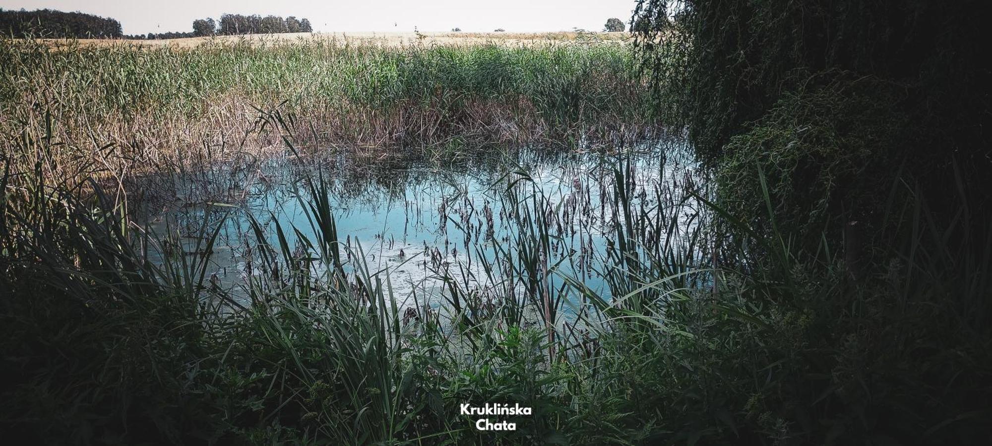 Kruklinska Chata - Domek Na Mazurach Dış mekan fotoğraf