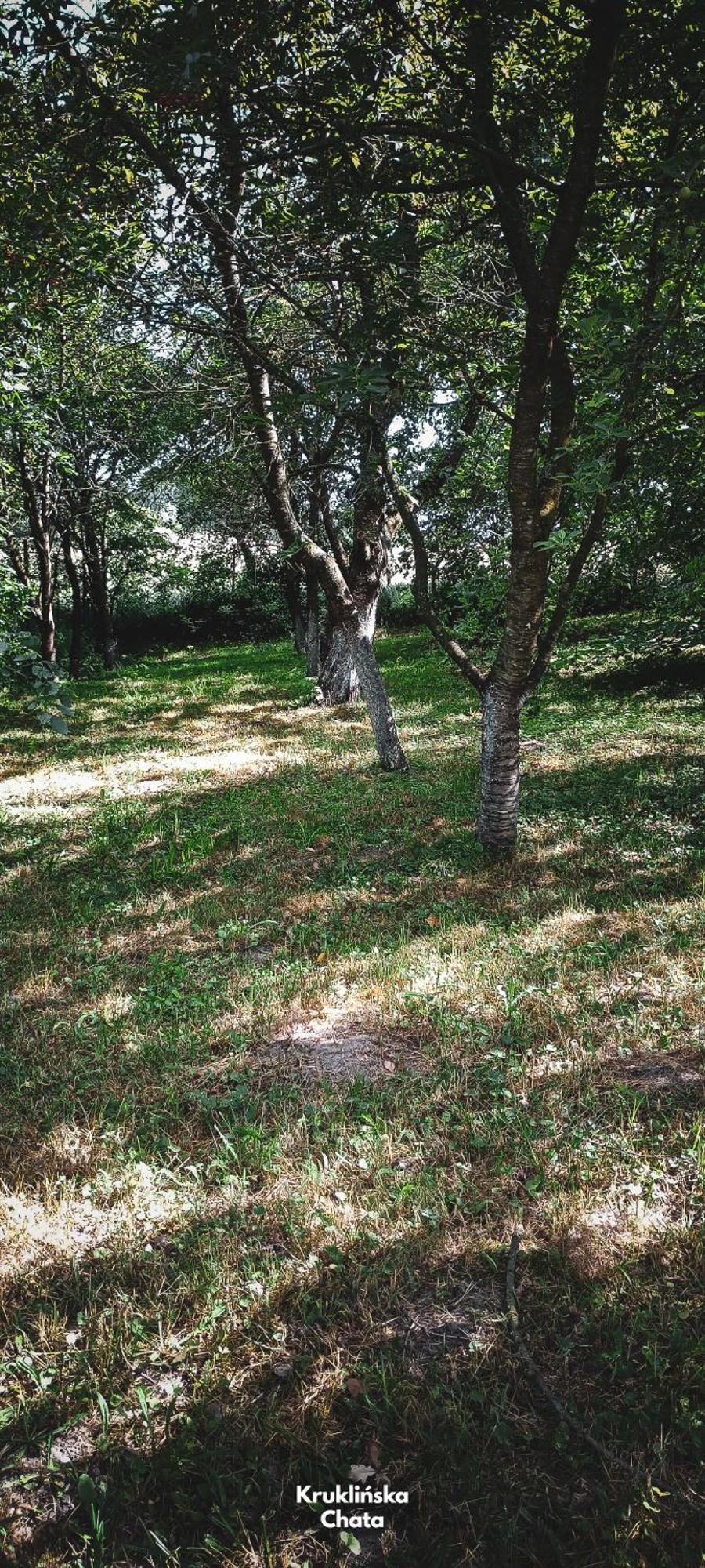 Kruklinska Chata - Domek Na Mazurach Dış mekan fotoğraf